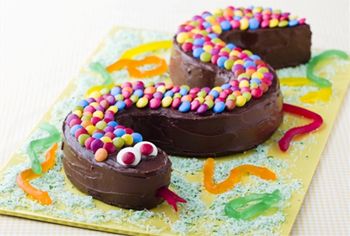 Торт «Шоколадная змея»