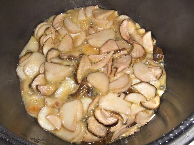 Блюда из белых грибов в мультиварке