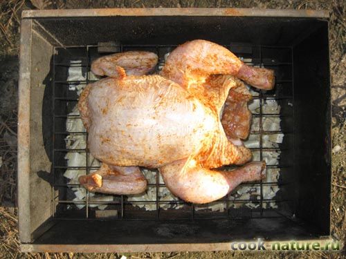 Как сделать курицу горячего копчения