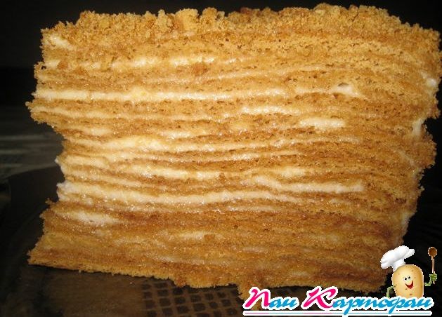 Медовый торт со сметанным кремом рецепт с фото
