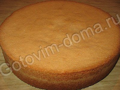 Рецепт бисквитного торта