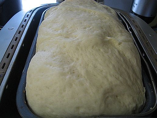 Рецепт дрожжевого теста в хлебопечке мулинекс