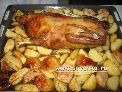 Рецепт утка с яблоками в духовке