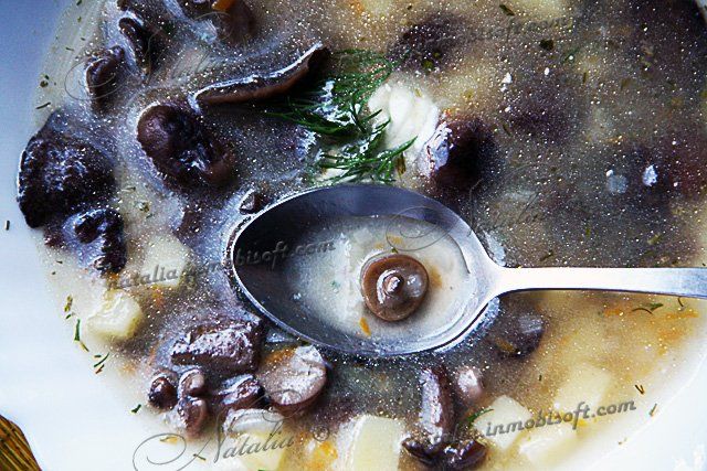 Суп из лесных грибов рецепт