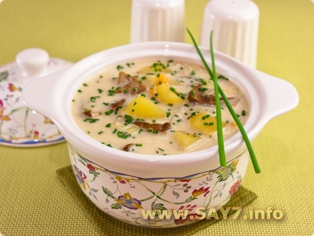Суп пюре из белых грибов с сыром